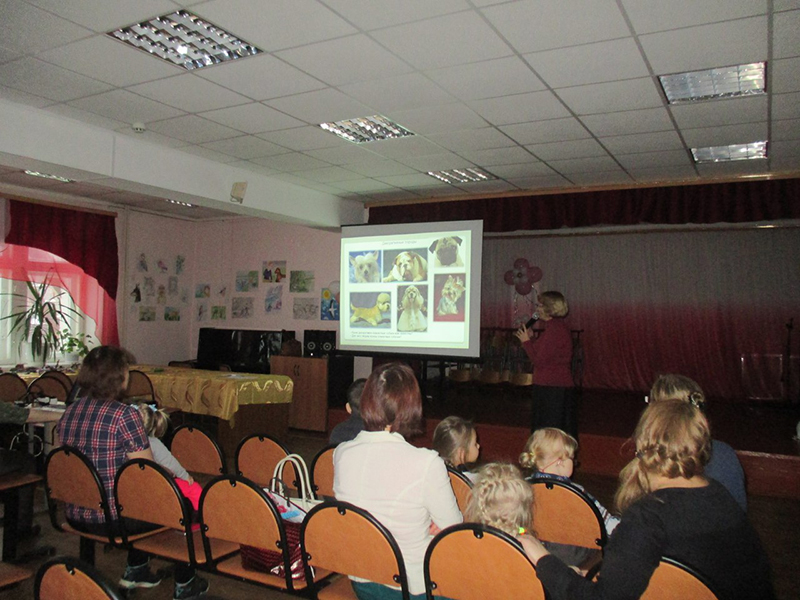 21 ноября 2017 года - выставка «Дорогою добра»