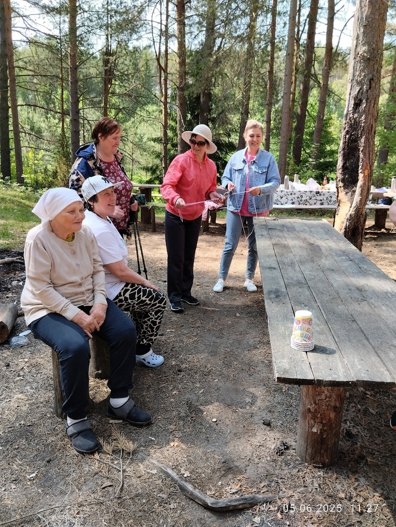 Поход в сосновый бор- это здорово